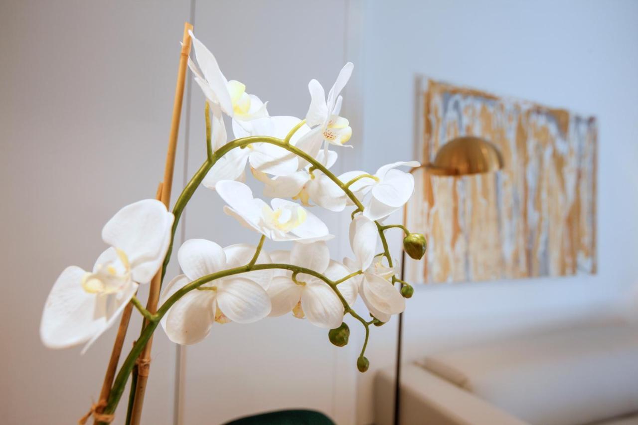 Tirso Suite Madrid Exteriör bild